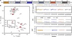 Modeling the Early Stages of Phase Separation in Disordered Elastin-like Proteins